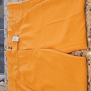 EXPRESS - FLARED TROUSER SUPER HIGH RISE